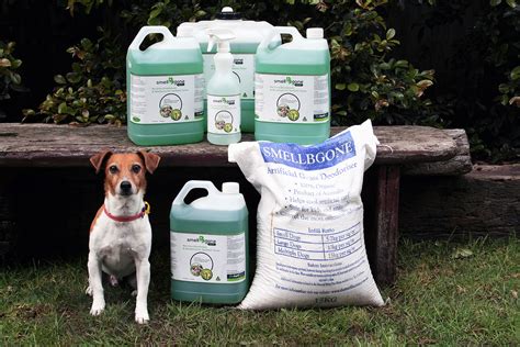 yard disinfectant safe for dogs.